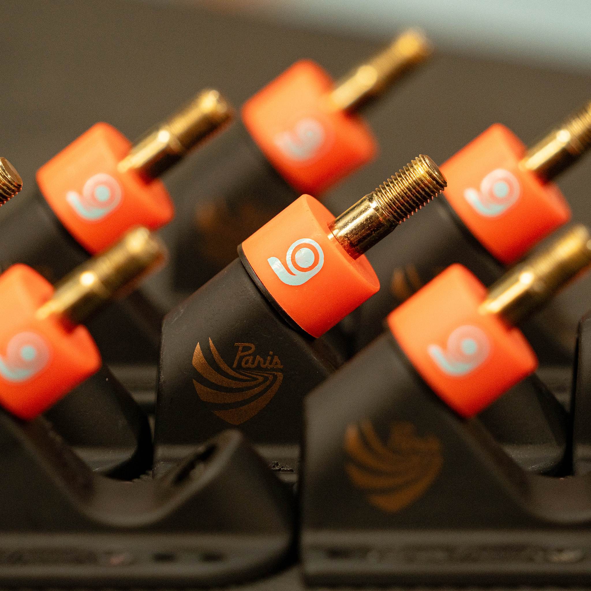 Close-up of orange (soft) Orangatang Nipples bushings mounted on the kingpins of several black longboard trucks
