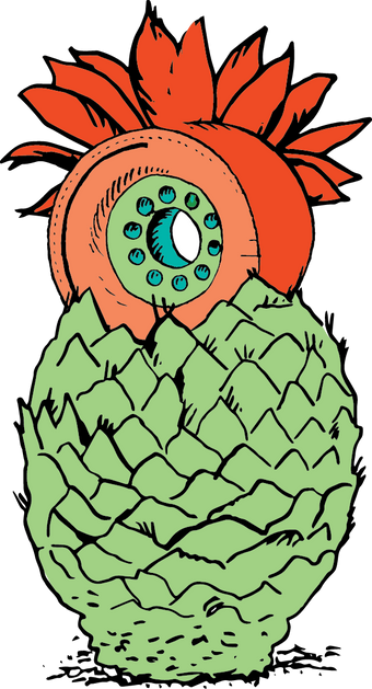 A pineapple with an Orangatang wheel for a top