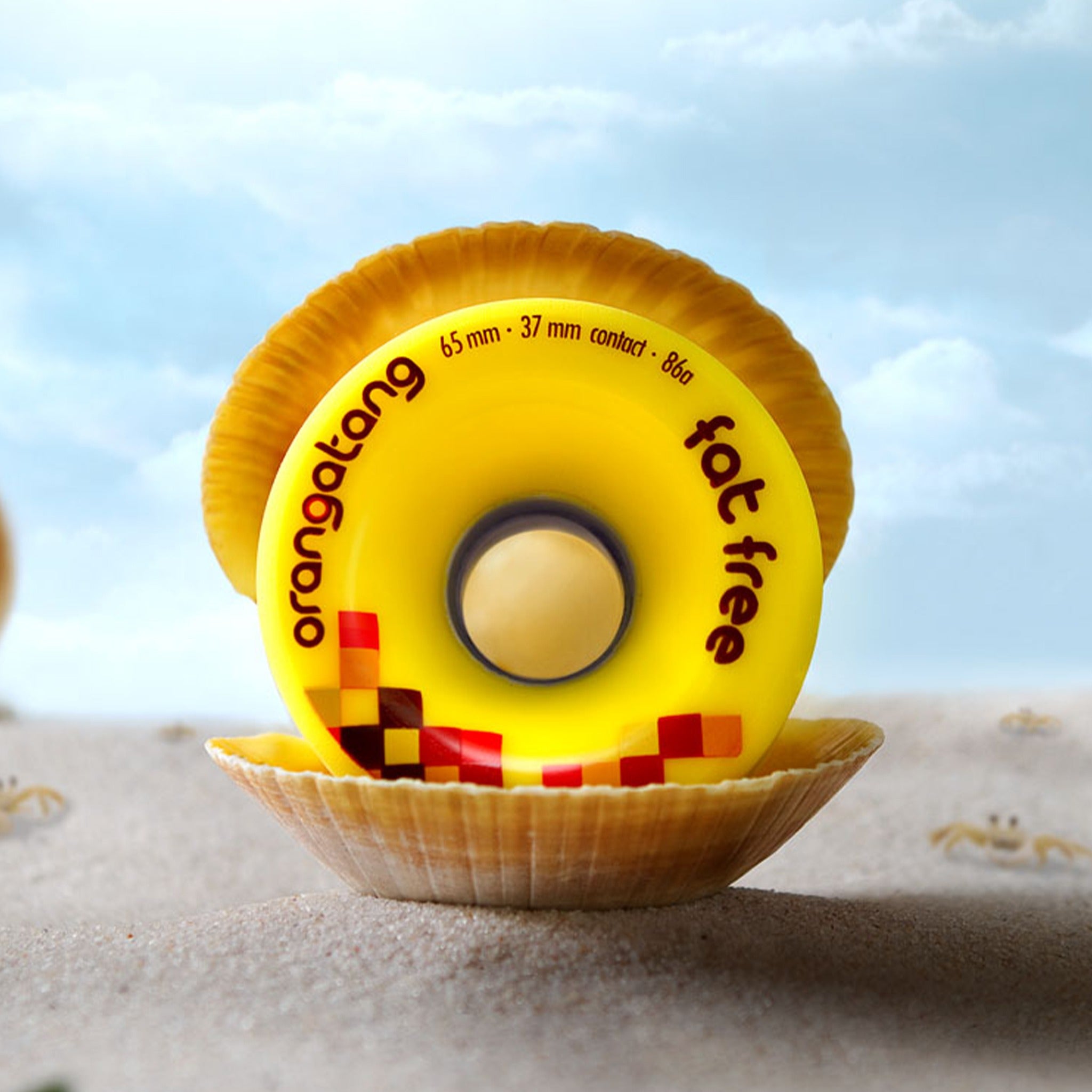 Yellow Orangatang Fat Free 65mm wheel nestled in an open scallop shell on a sandy beach with small crabs nearby